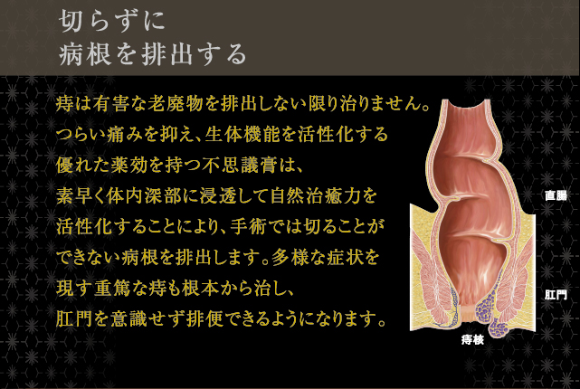 資料請求 ヒサヤ大黒堂 資料請求 ヒサヤ大黒堂