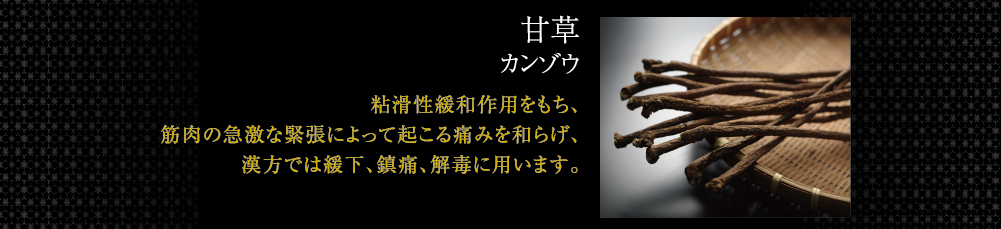 甘草カンゾウ 粘滑性緩和作用をもち、筋肉の急激な緊張によって起こる痛みを和らげ痔核や脱肛のはげしい痛みに効きます。