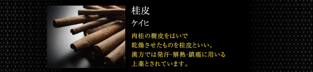 桂皮 ケイヒ桂の樹皮をはいで乾燥させたものを桂皮といい、漢方では発汗・解熱・鎮痛に効く上薬とされています。