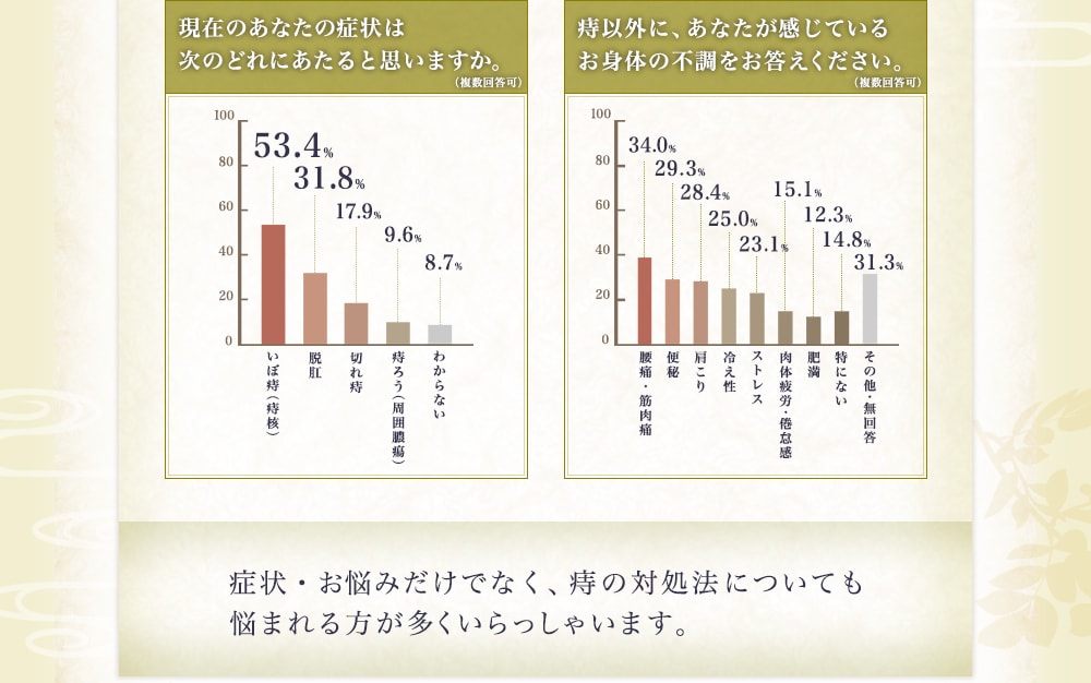 現在のあなたの症状は次のどれにあたると思いますか。→いぼ痔…53.4％/脱肛…31.8％ 痔以外に、あなたが感じているお身体の不調をお答えください。→腰痛・筋肉痛…34.0％/便秘…29.3％/肩こり…28.4％ 症状・お悩みだけでなく、痔の対処法についても悩まれる方が多くいらっしゃいます。