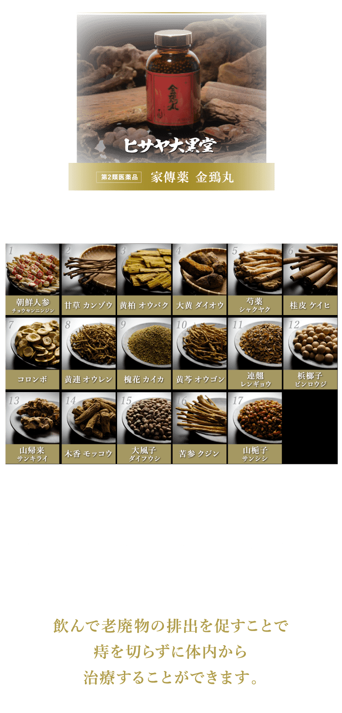 第2類医薬品 家傳薬 金鵄丸