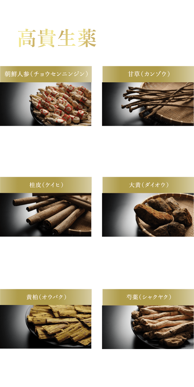 第3類医薬品 家傳薬 金鵄丸
