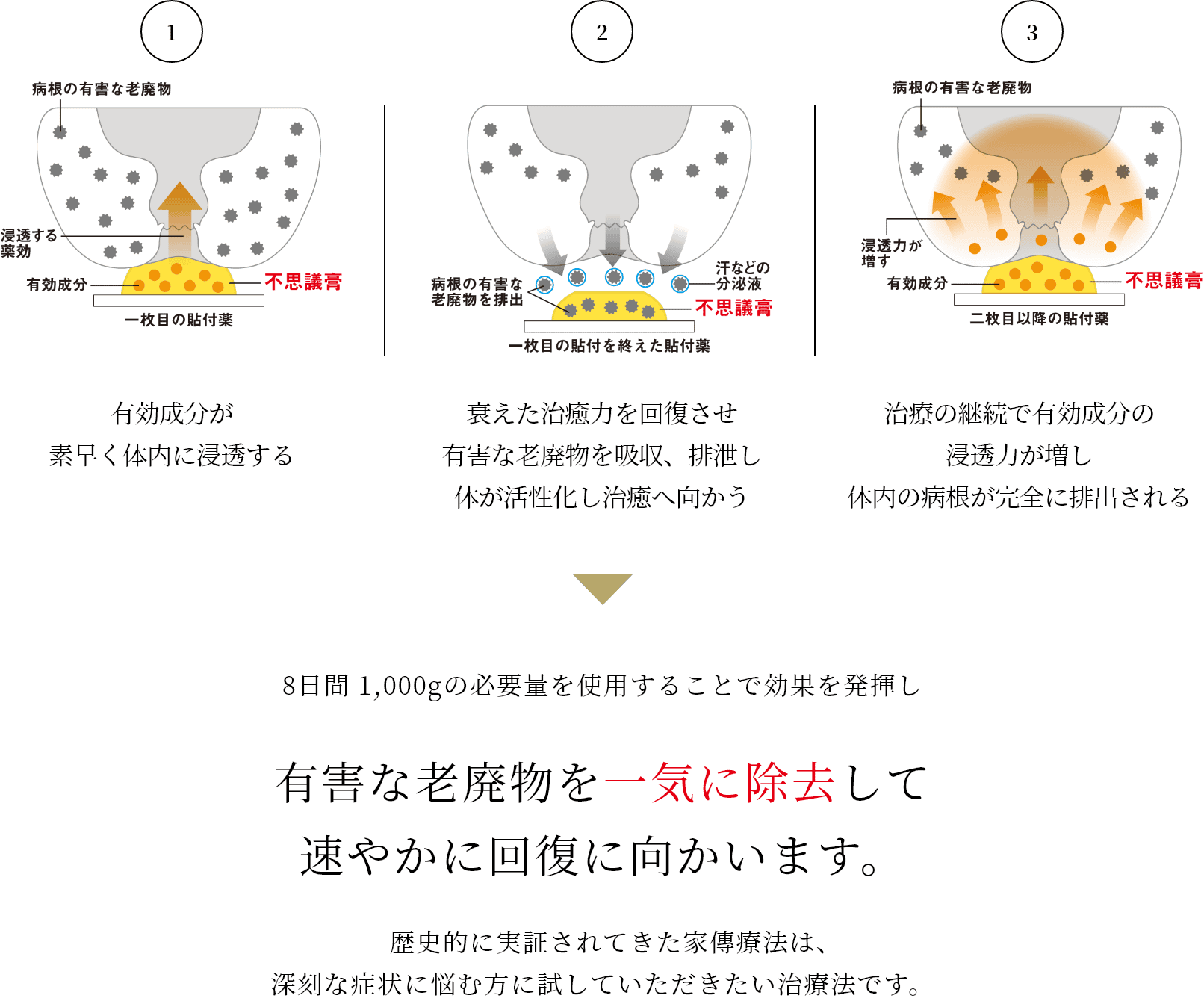 ①有効成分が素早く体内に浸透する ②衰えた治療力を回復させ有害な老廃物を吸収、排泄し体が活性化し治療へ向かう ③治療の継続で有効成分の浸透力が増し、体内の病根が完全に排出される → 8日間1,000gの必要量を使用することで効果を発揮し有害な老廃物を一気に除去して速やかに回復に向かいます。歴史的に実証されてきた家傳薬は、深刻な病状に悩む型に試していただきたい治療方です。