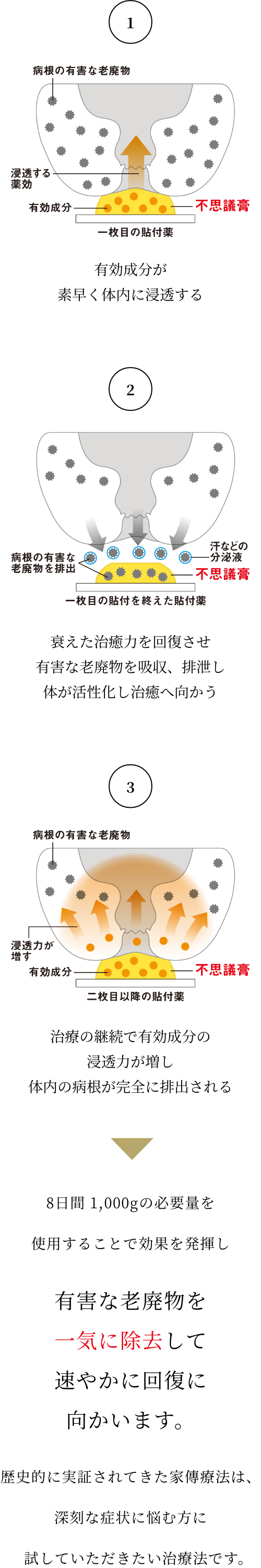 ①有効成分が素早く体内に浸透する ②衰えた治療力を回復させ有害な老廃物を吸収、排泄し体が活性化し治療へ向かう ③治療の継続で有効成分の浸透力が増し、体内の病根が完全に排出される → 8日間1,000gの必要量を使用することで効果を発揮し有害な老廃物を一気に除去して速やかに回復に向かいます。歴史的に実証されてきた家傳薬は、深刻な病状に悩む型に試していただきたい治療方です。